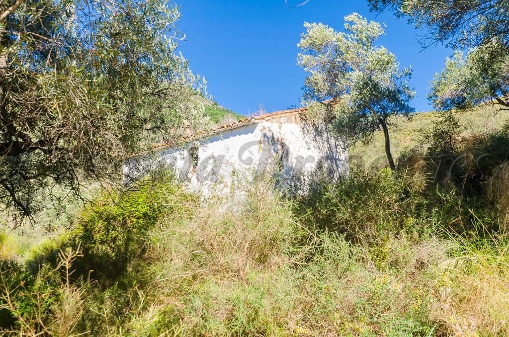 Ubebygd land til salgs i Canillas de Albaida - € 300 000 (Ref: 10075786)