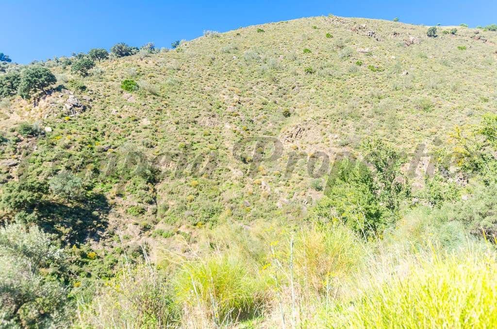 Ubebygd land til salgs i Canillas de Albaida - € 300 000 (Ref: 10075786)