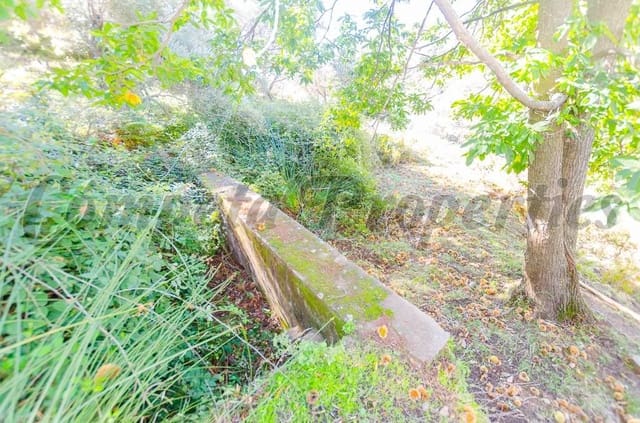 Terreno Não Urbanizado para venda em Canillas de Albaida - 300 000 € (Ref: 10075786)