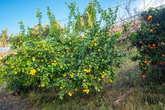 Grunde uden byggetilladelser til salg i Canillas de Albaida - € 30.000 (Ref: 10075787)