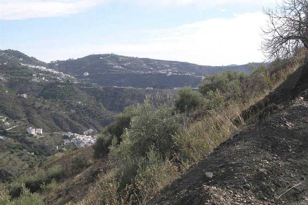 Grond te koop in Canillas de Albaida - € 69.000 (Ref: 10075788)