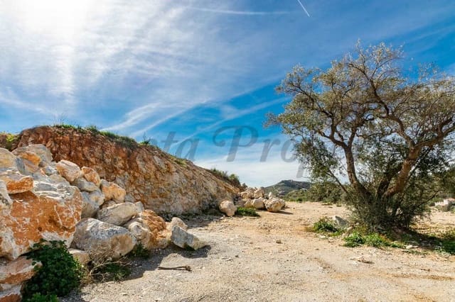 Terre non Aménagée à vendre à Canillas de Albaida - 55 000 € (Ref: 10075791)