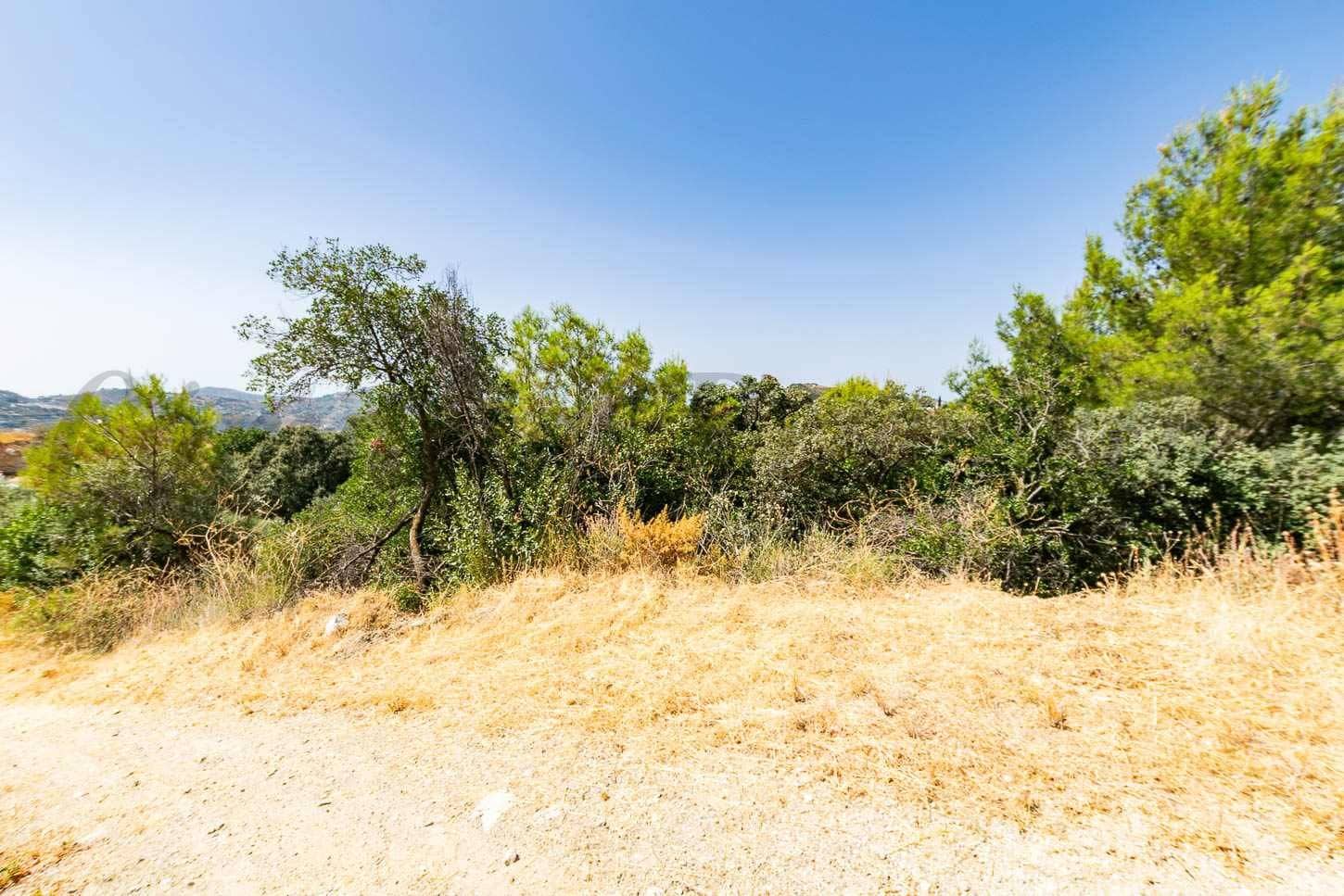 Landgrundstück zu verkaufen in Canillas de Albaida - 31.000 € (Ref: 10075793)