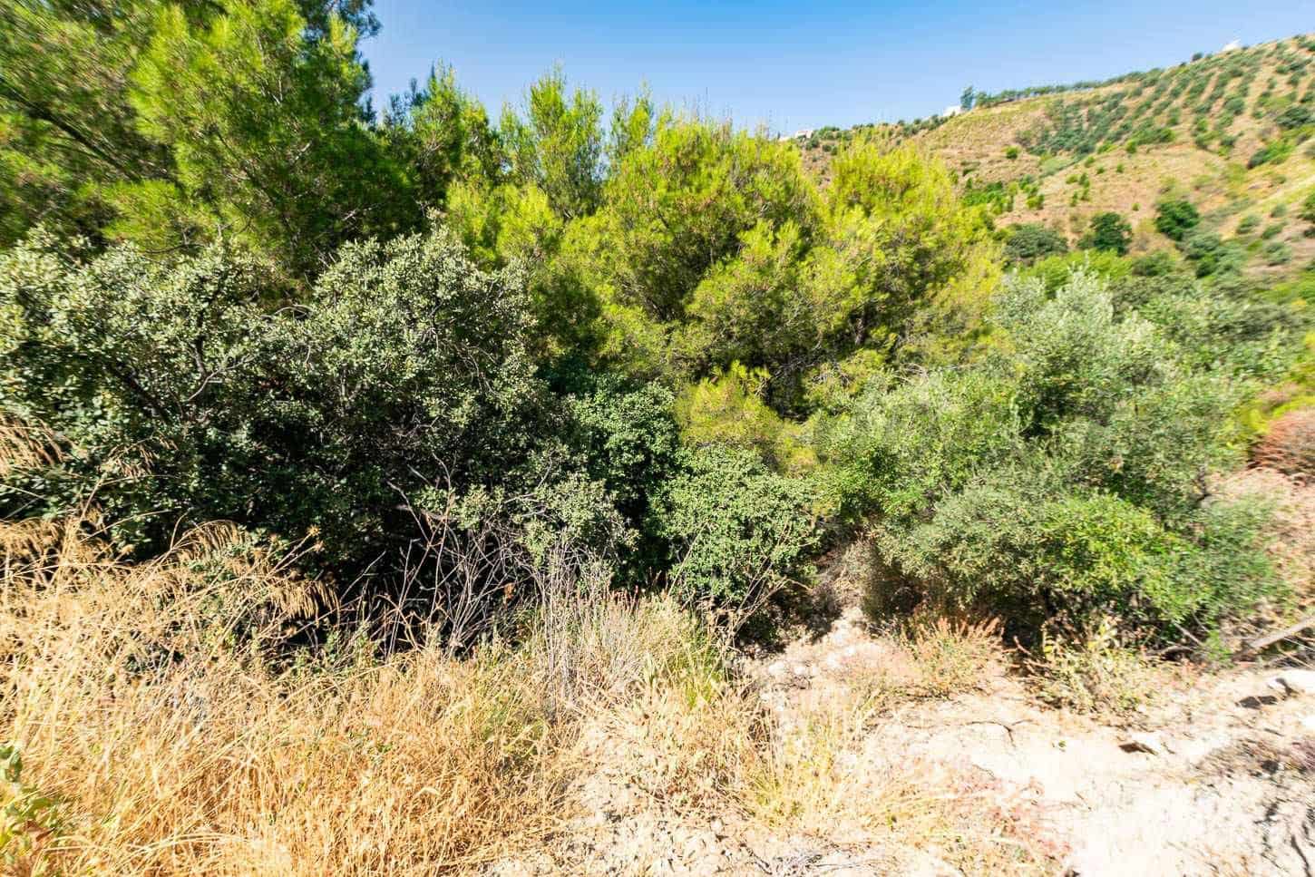 Landgrundstück zu verkaufen in Canillas de Albaida - 31.000 € (Ref: 10075793)