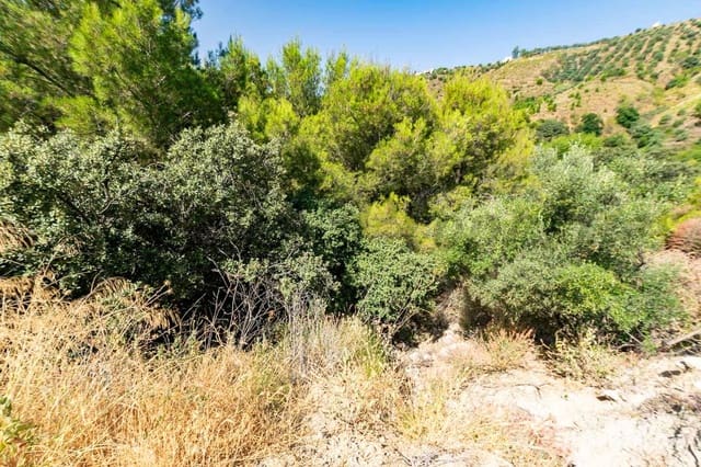 Terreno Não Urbanizado para venda em Canillas de Albaida - 31 000 € (Ref: 10075793)