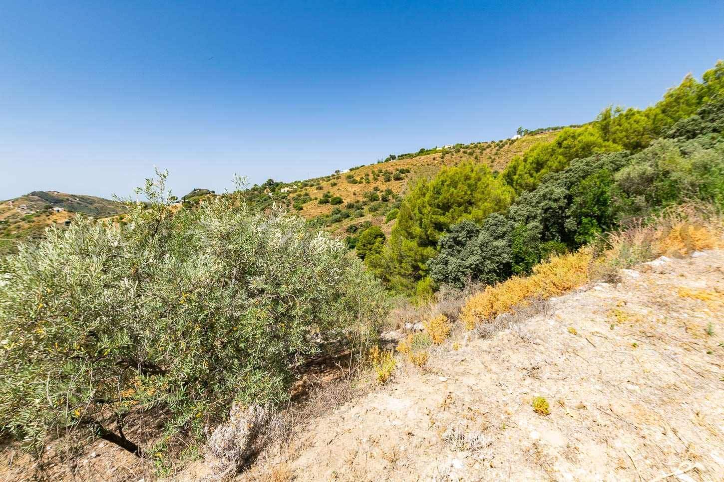 Landgrundstück zu verkaufen in Canillas de Albaida - 31.000 € (Ref: 10075793)