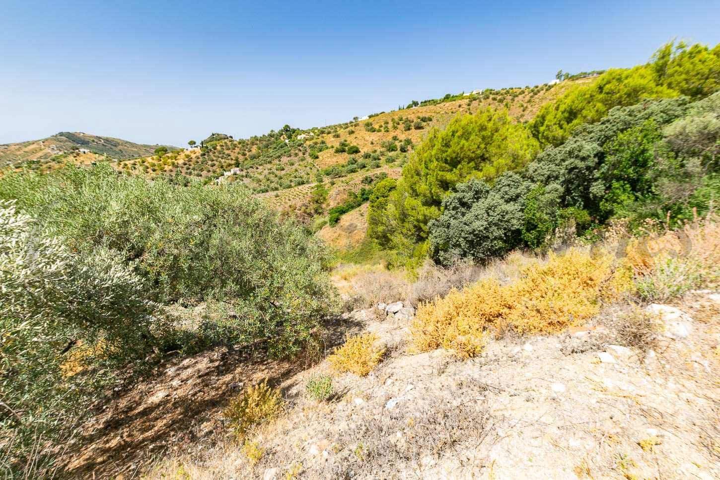 Landgrundstück zu verkaufen in Canillas de Albaida - 31.000 € (Ref: 10075793)