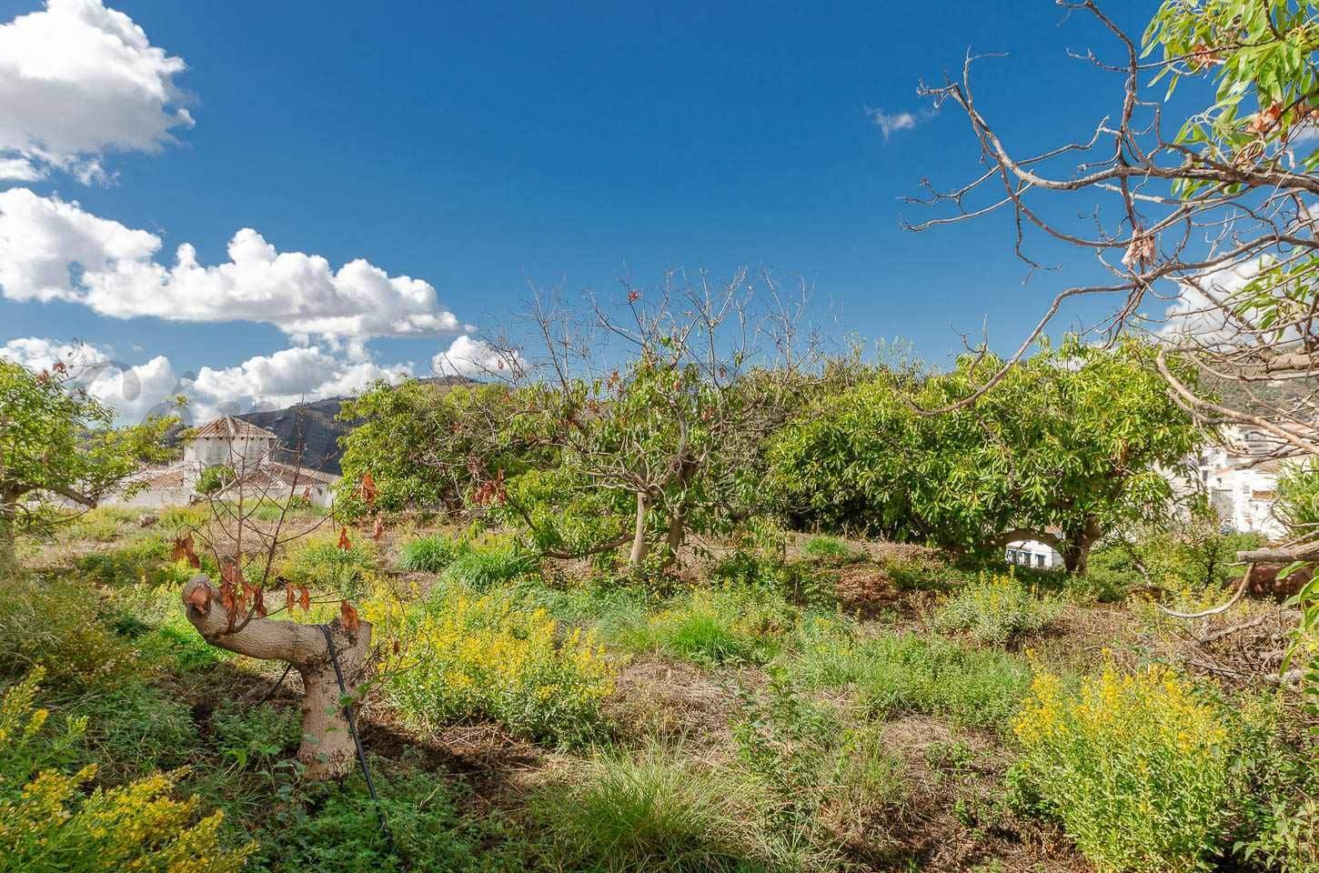Area Edificabile in vendita in Canillas de Albaida - 110.000 € (Rif: 10075795)