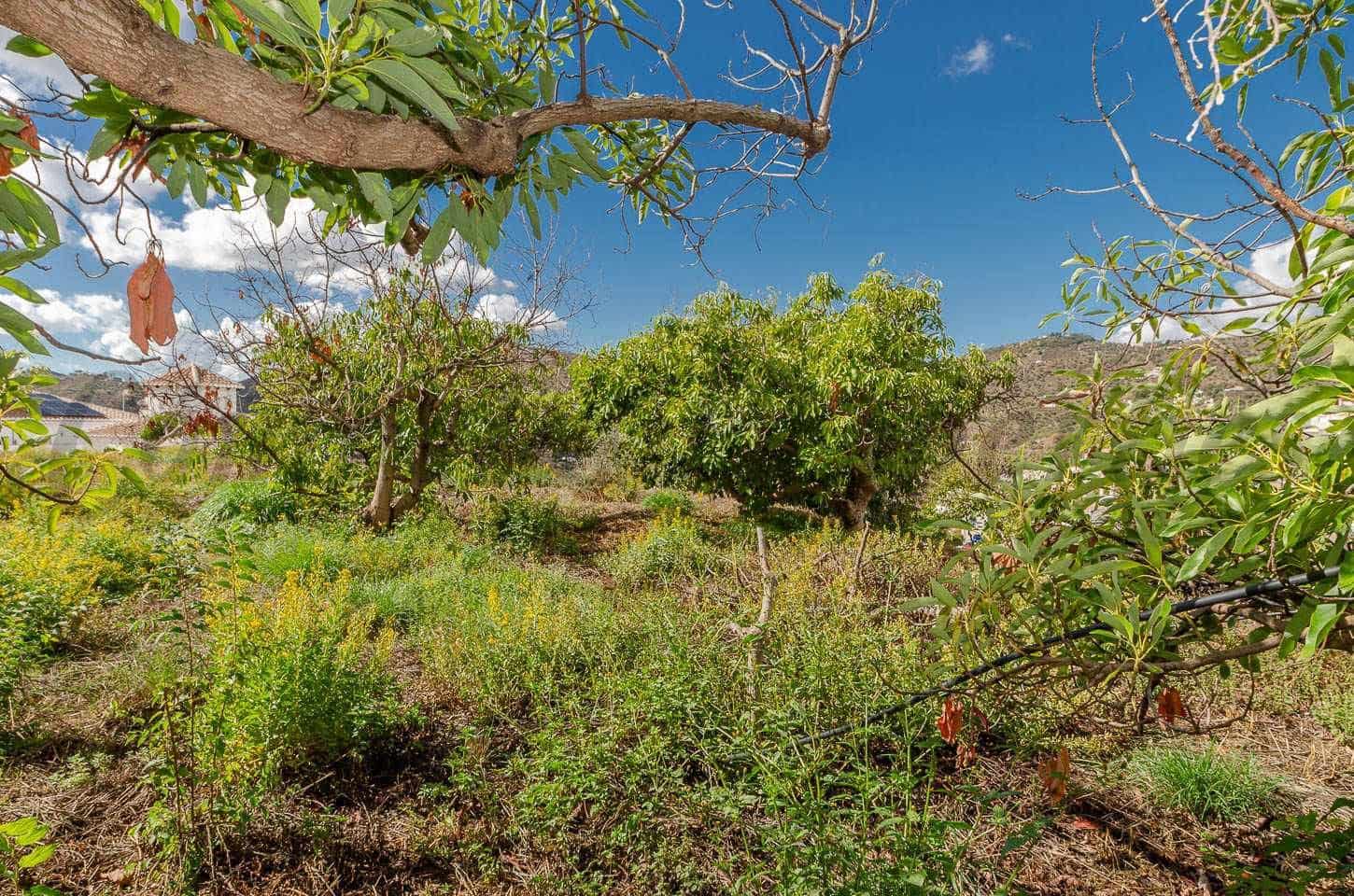 Area Edificabile in vendita in Canillas de Albaida - 110.000 € (Rif: 10075795)
