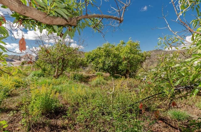 Tontti myytävänä paikassa Canillas de Albaida - 110 000 € (Ref: 10075795)