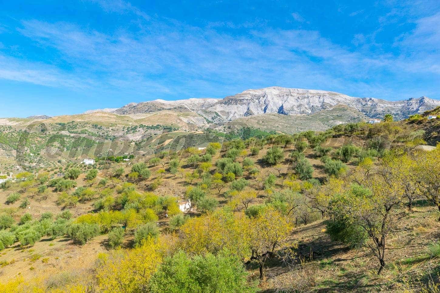 Ubebygd land til salgs i Sedella - € 106 000 (Ref: 10075796)