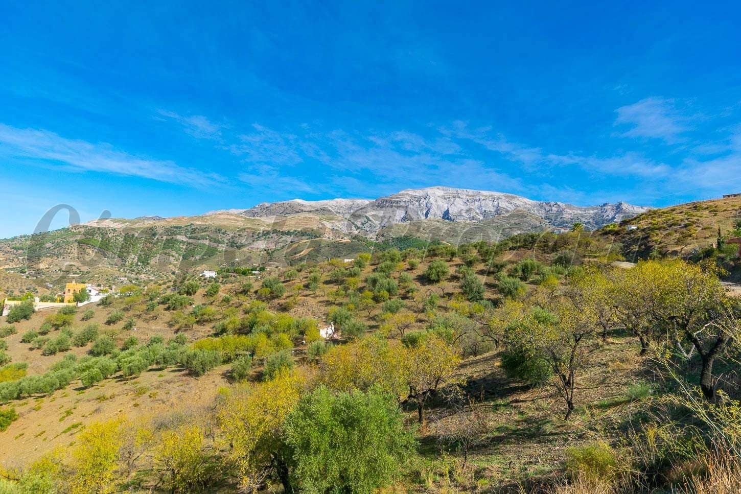 Ubebygd land til salgs i Sedella - € 106 000 (Ref: 10075796)