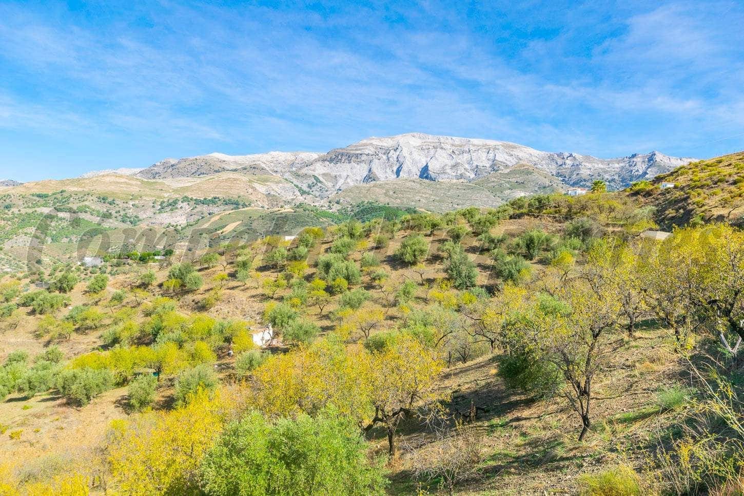Ubebygd land til salgs i Sedella - € 106 000 (Ref: 10075796)
