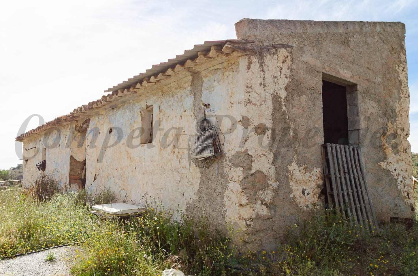 Ubebygd land til salgs i Sedella - € 144 000 (Ref: 10075801)