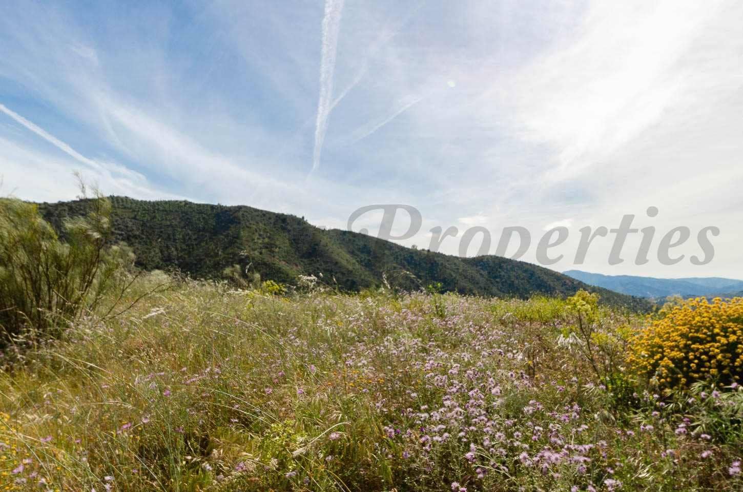 Ubebygd land til salgs i Sedella - € 144 000 (Ref: 10075801)