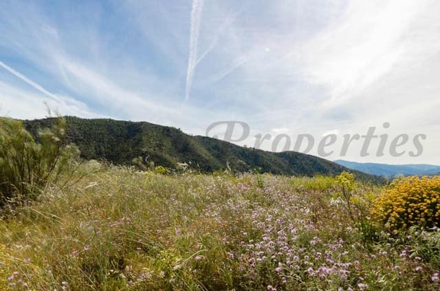 Grunde uden byggetilladelser til salg i Sedella - € 144.000 (Ref: 10075801)