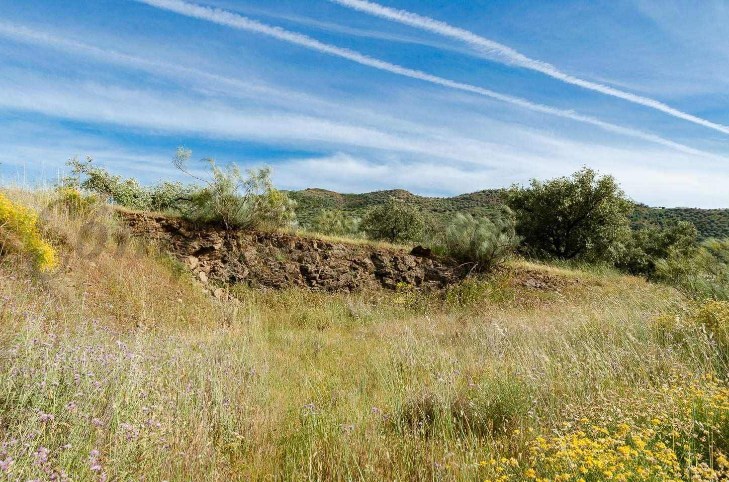 Ubebygd land til salgs i Sedella - € 144 000 (Ref: 10075801)