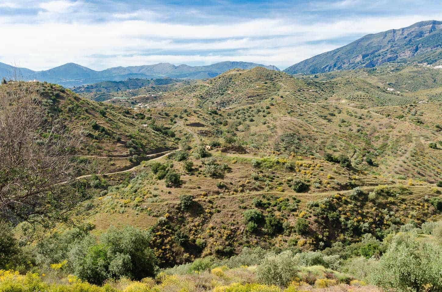 Ubebygd land til salgs i Sedella - € 144 000 (Ref: 10075801)