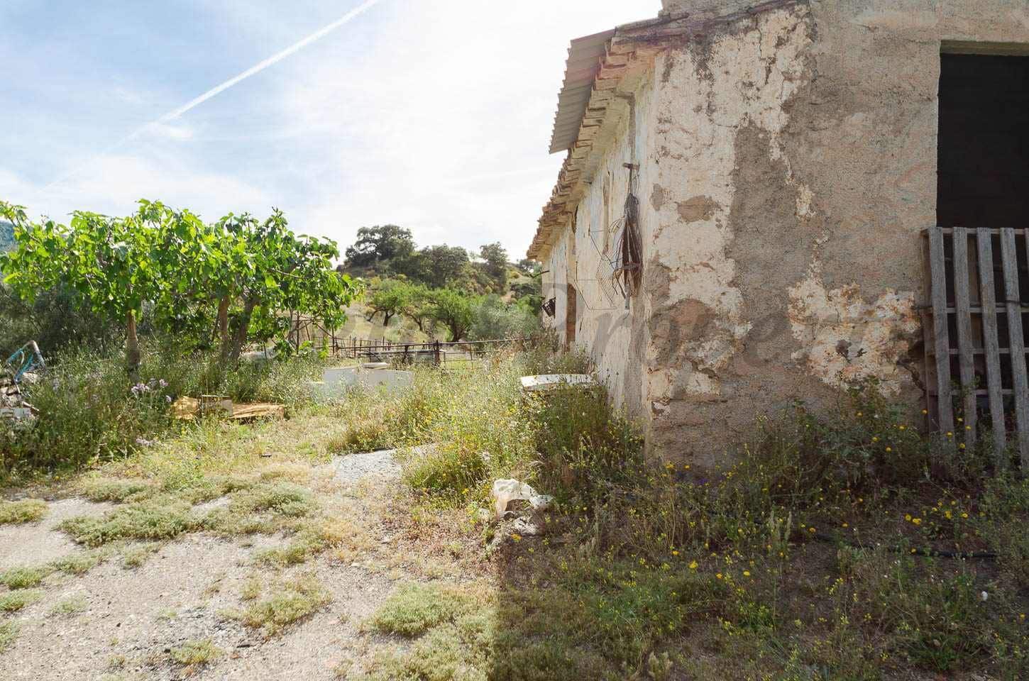 Ubebygd land til salgs i Sedella - € 144 000 (Ref: 10075801)