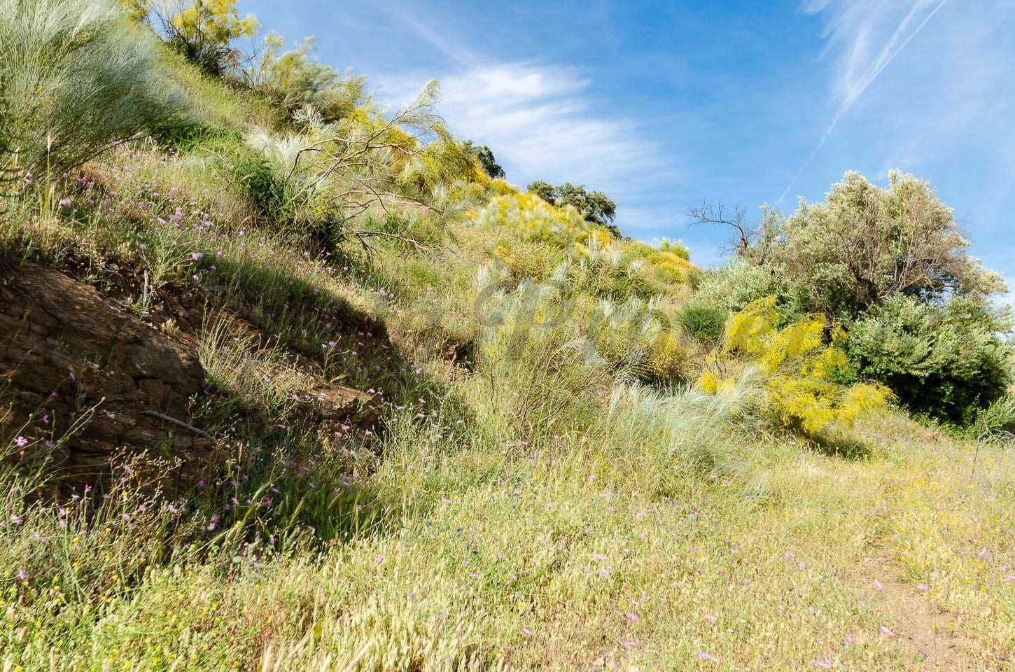 Ubebygd land til salgs i Sedella - € 144 000 (Ref: 10075801)