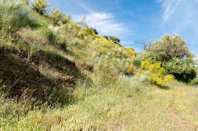 Grunde uden byggetilladelser til salg i Sedella - € 144.000 (Ref: 10075801)