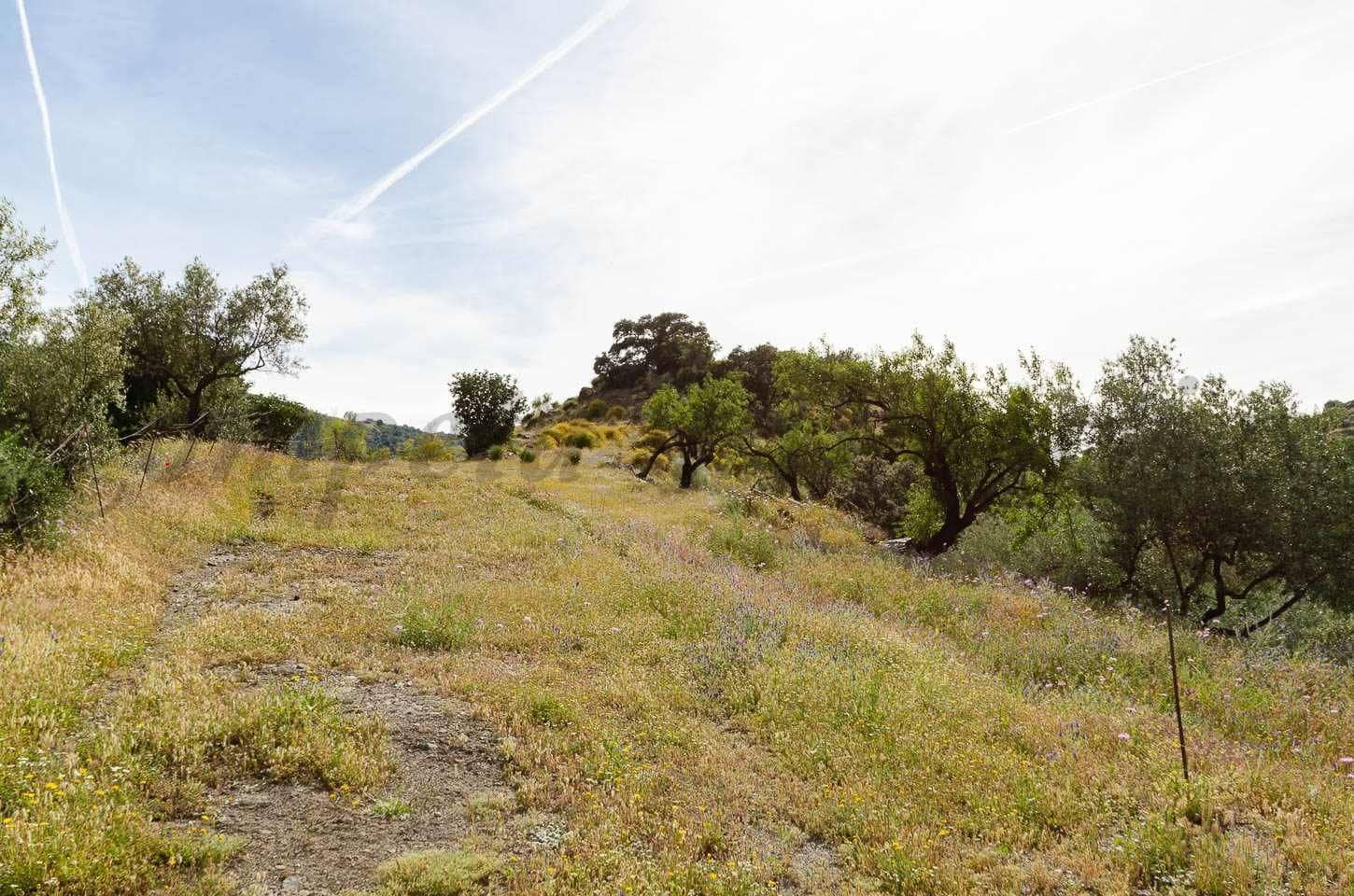 Ubebygd land til salgs i Sedella - € 144 000 (Ref: 10075801)
