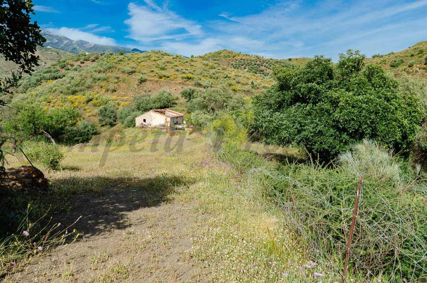 Ubebygd land til salgs i Sedella - € 144 000 (Ref: 10075801)