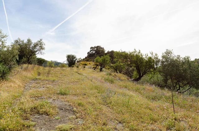 Grunde uden byggetilladelser til salg i Sedella - € 144.000 (Ref: 10075801)