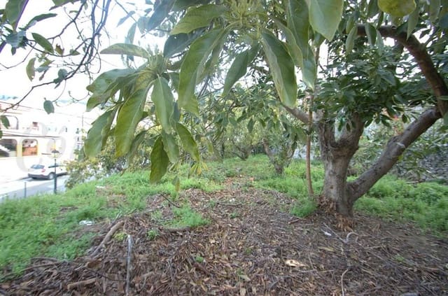 Terreno Não Urbanizado para venda em Canillas de Albaida - 77 000 € (Ref: 10075802)
