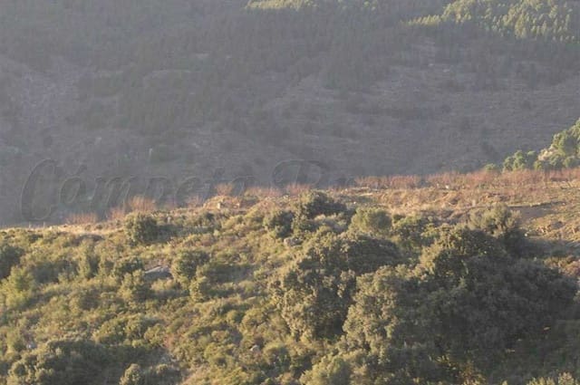 Terreno Non Edificato in vendita in Canillas de Albaida - 198.000 € (Rif: 10075803)