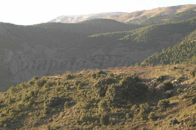 Terreno Non Edificato in vendita in Canillas de Albaida - 198.000 € (Rif: 10075803)