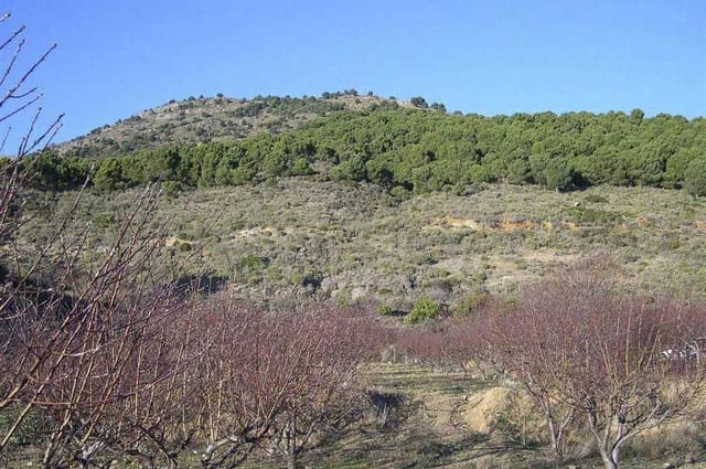 Terreno Non Edificato in vendita in Canillas de Albaida - 198.000 € (Rif: 10075803)