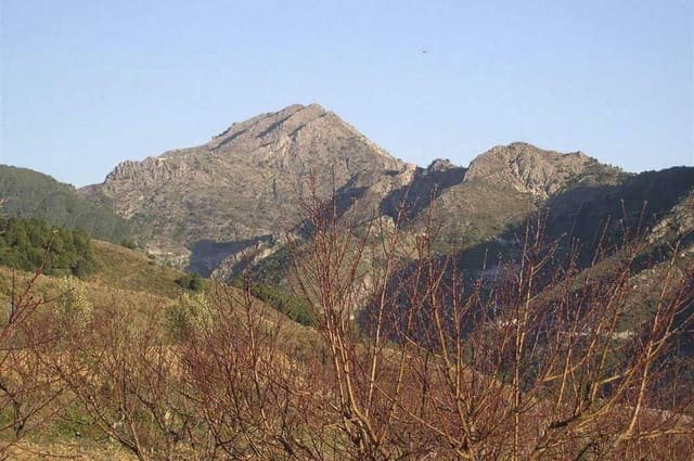 Terreno Non Edificato in vendita in Canillas de Albaida - 198.000 € (Rif: 10075803)
