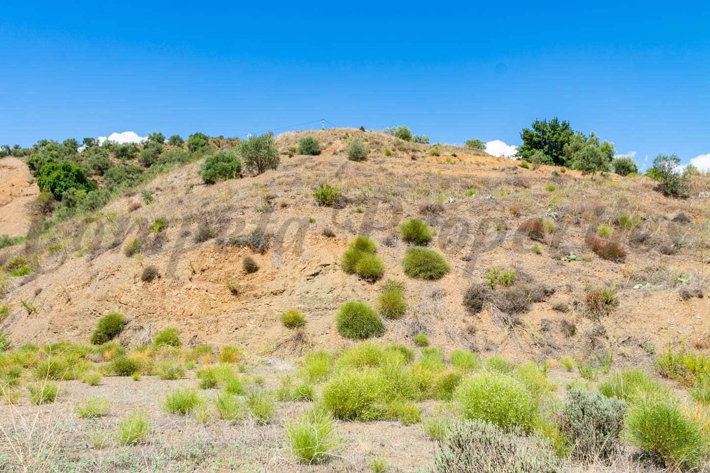 Undeveloped Land for sale in Canillas de Albaida - € 46,000 (Ref: 10075804)