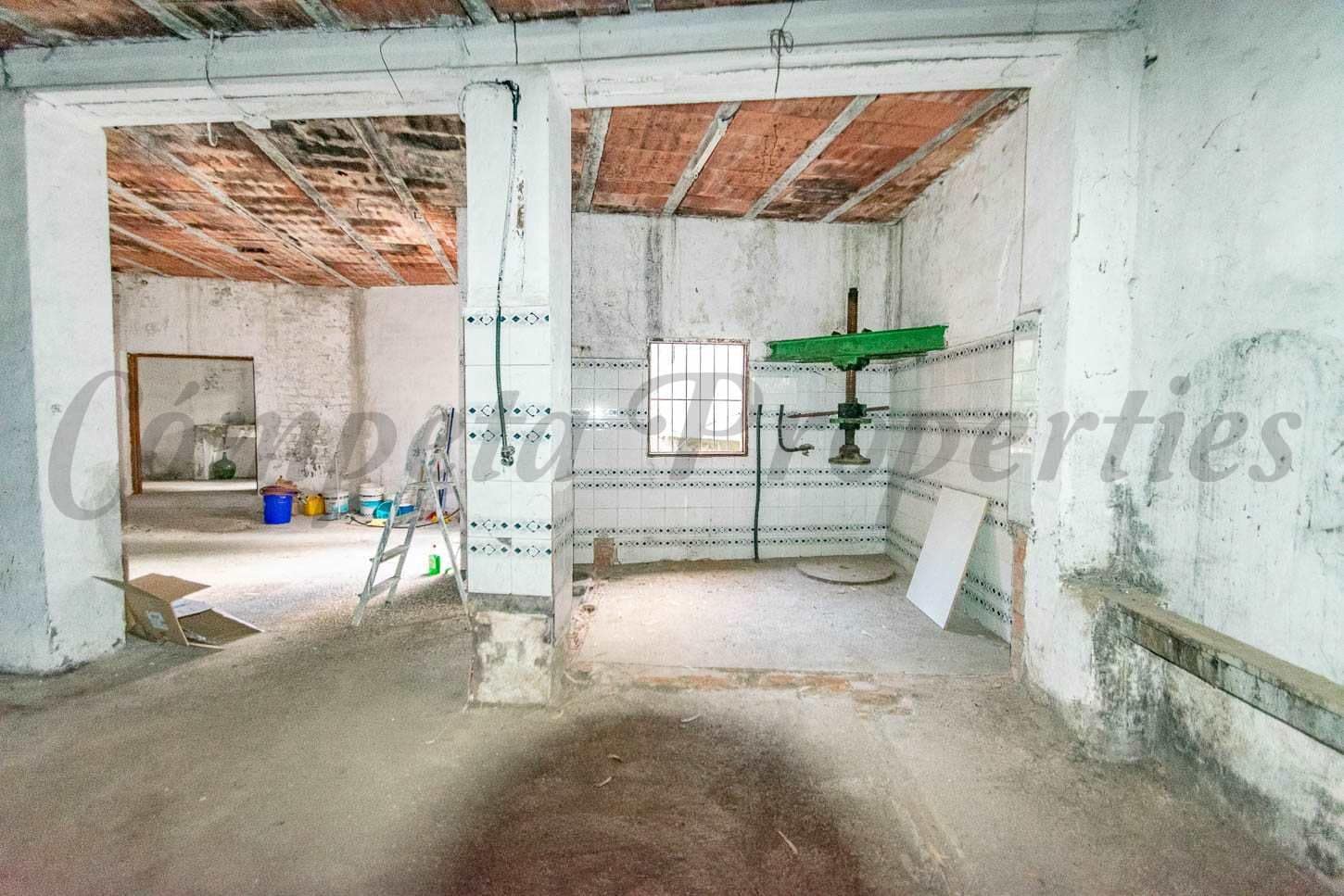 Komercyjne na sprzedaż w Archez - 75 000 € (Ref: 10075806)