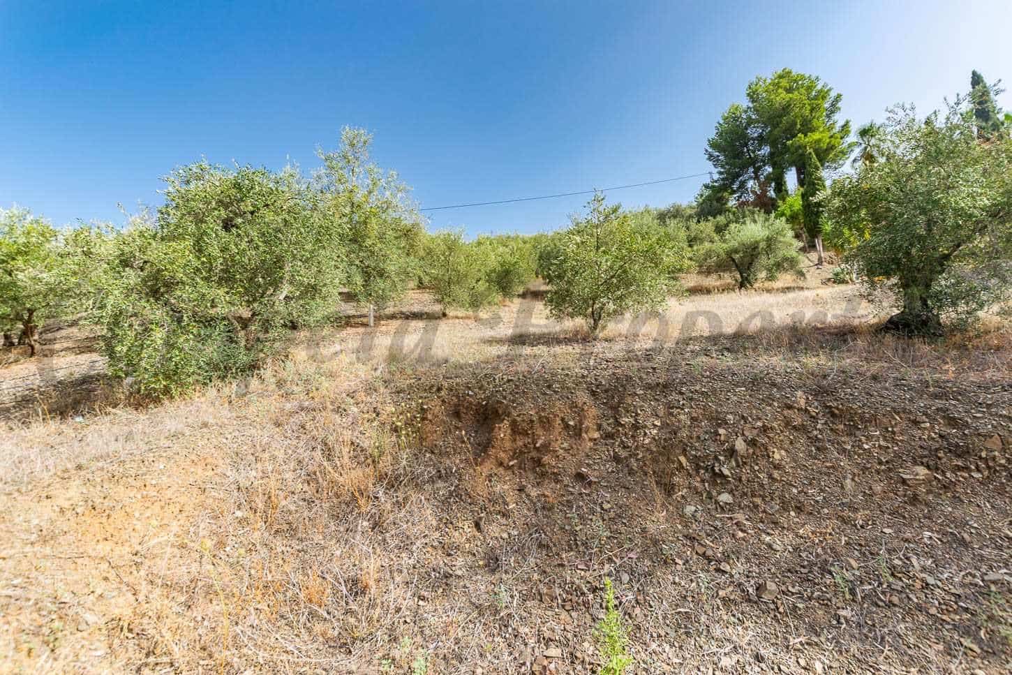 Terreno Non Edificato in vendita in Salares - 10.000 € (Rif: 10075823)