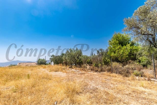 Landgrundstück zu verkaufen in Cómpeta - 60.000 € (Ref: 10075860)