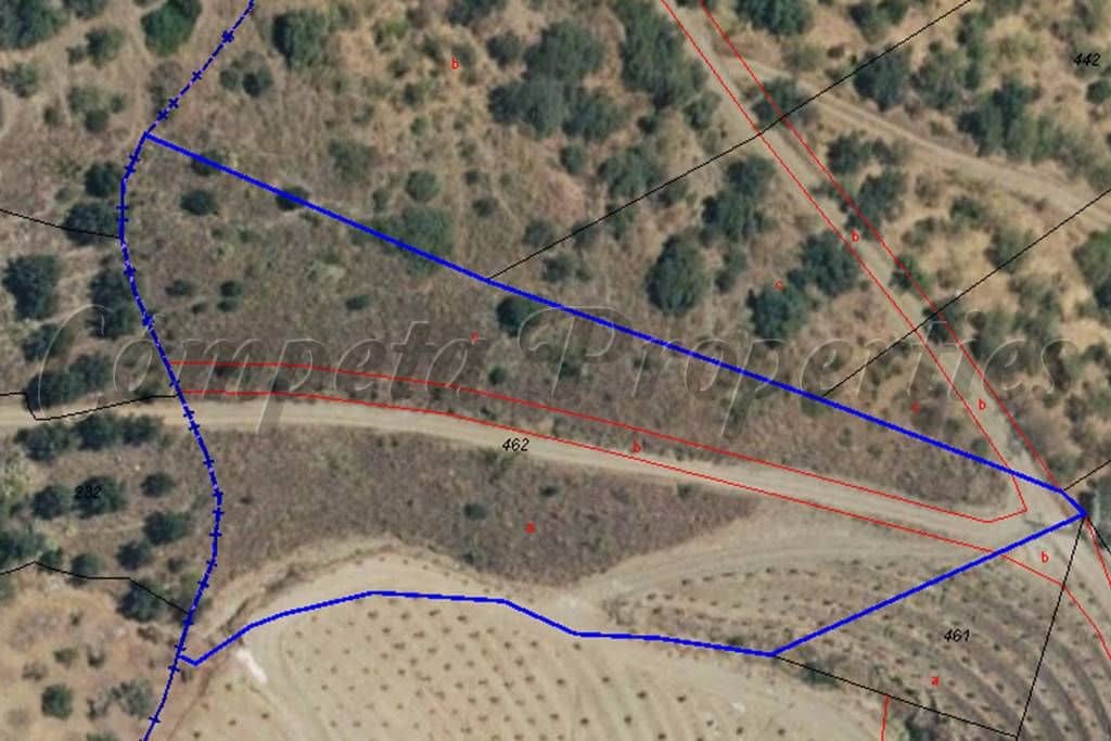 Undeveloped Land for sale in Sayalonga - € 19,500 (Ref: 10075863)
