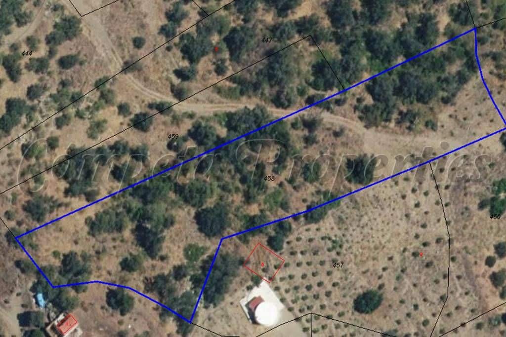 Undeveloped Land for sale in Sayalonga - € 19,500 (Ref: 10075863)