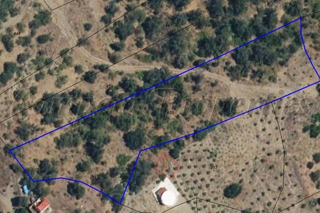 Terre non Aménagée à vendre à Sayalonga - 19 500 € (Ref: 10075863)