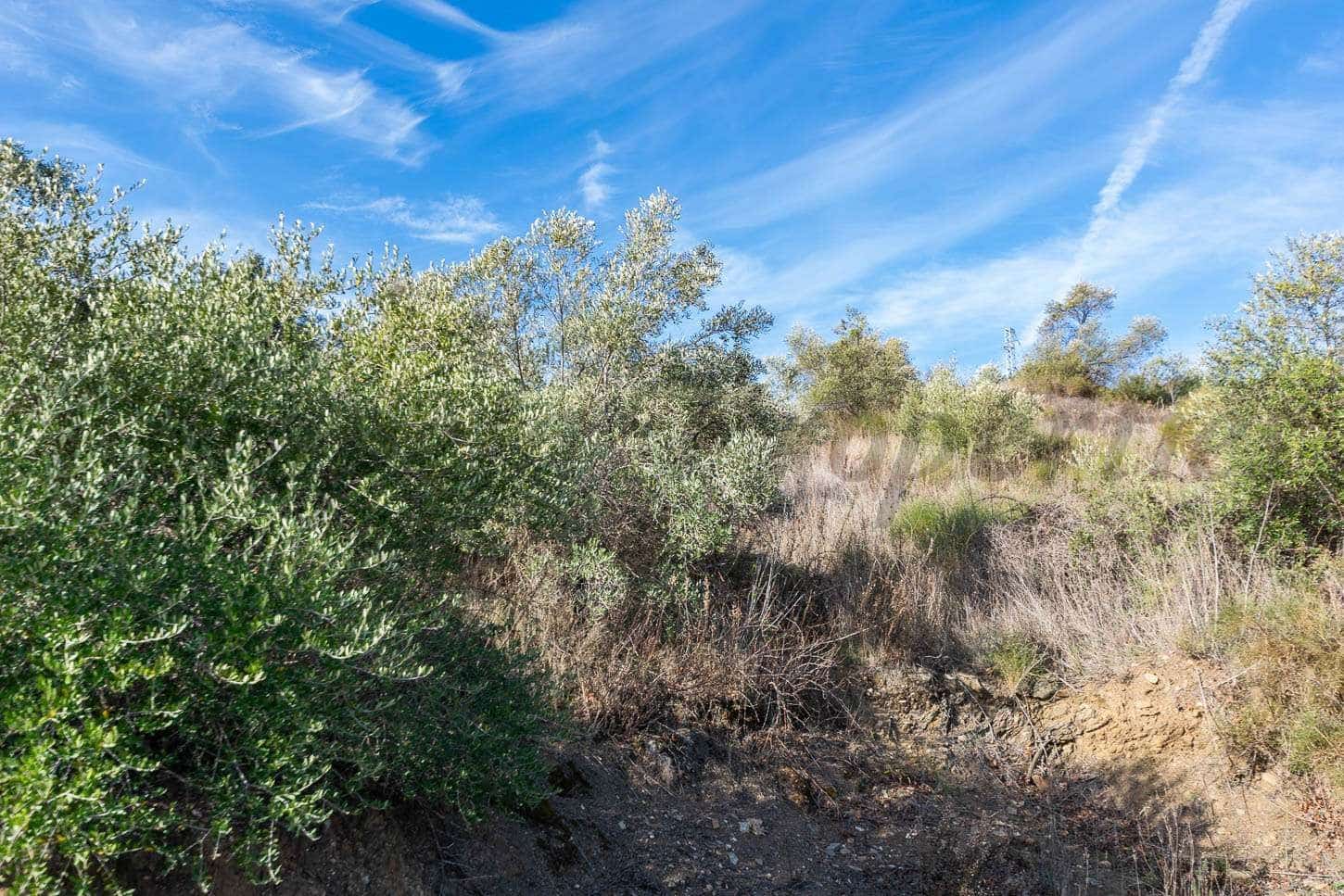 Undeveloped Land for sale in Torrox - € 48,000 (Ref: 10075867)
