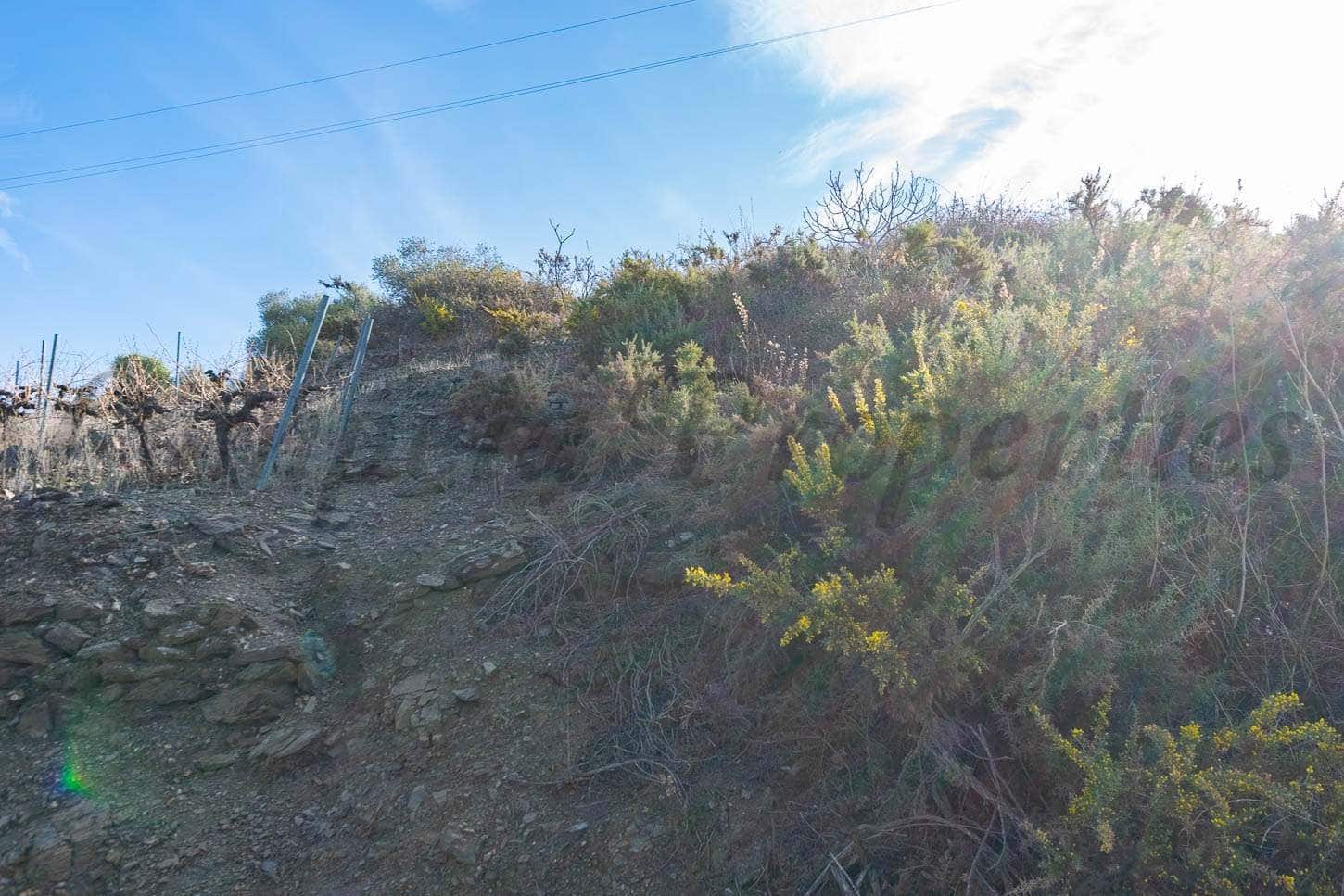Undeveloped Land for sale in Torrox - € 48,000 (Ref: 10075867)