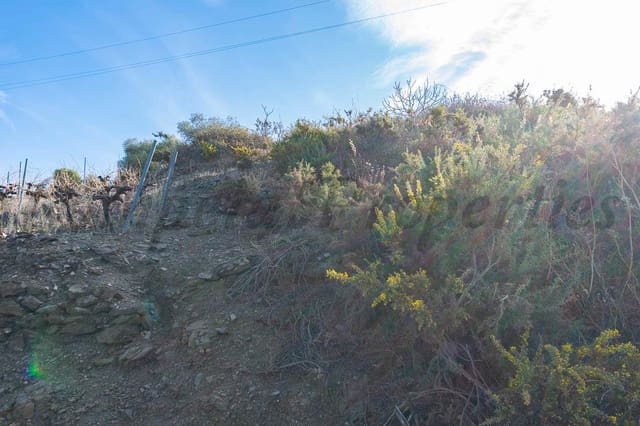 Terreno Não Urbanizado para venda em Torrox Pueblo, Torrox - 48 000 € (Ref: 10075867)