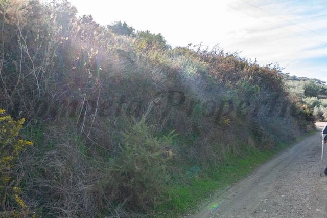 Terreno Não Urbanizado para venda em Torrox Pueblo, Torrox - 48 000 € (Ref: 10075867)