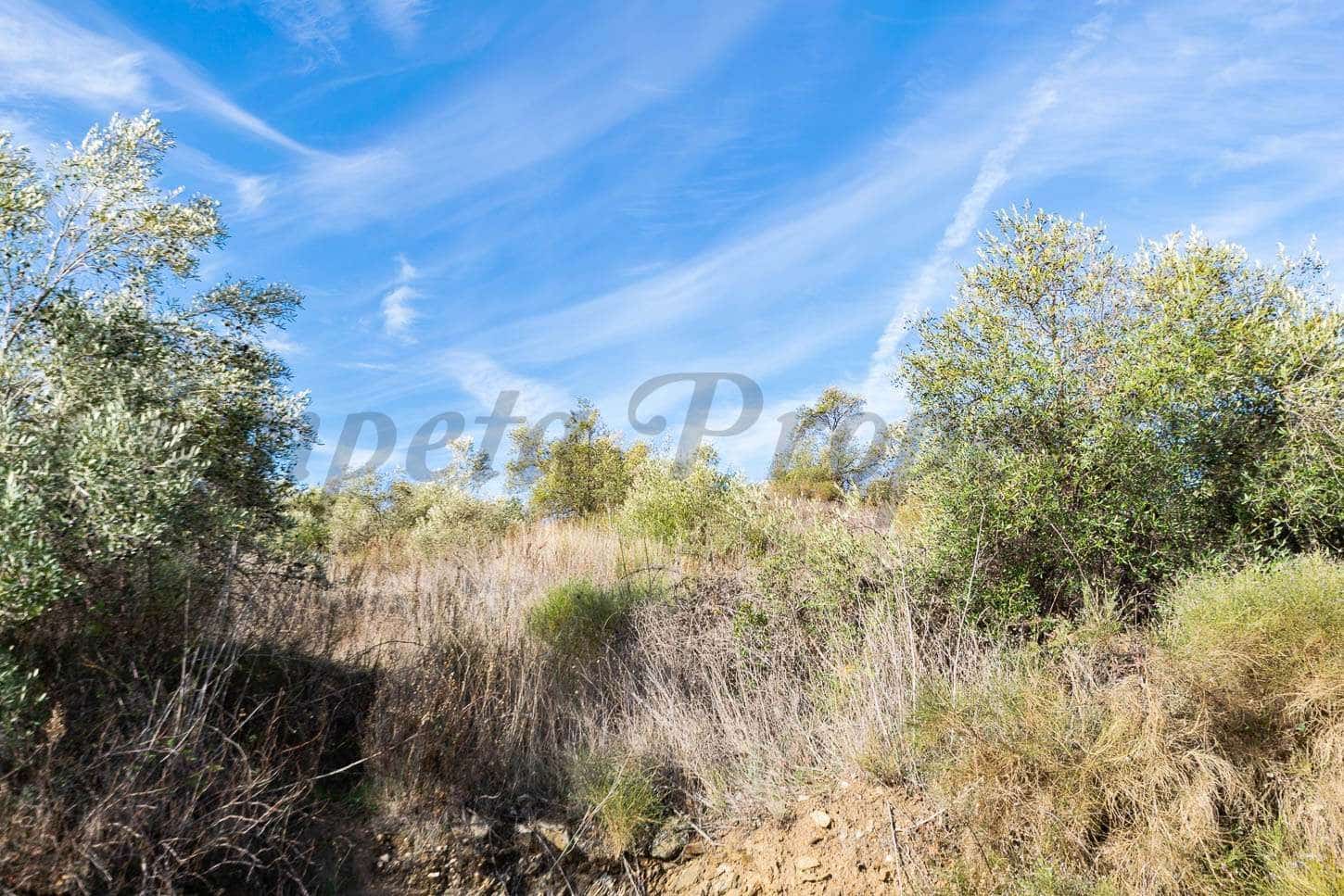 Undeveloped Land for sale in Torrox - € 48,000 (Ref: 10075867)