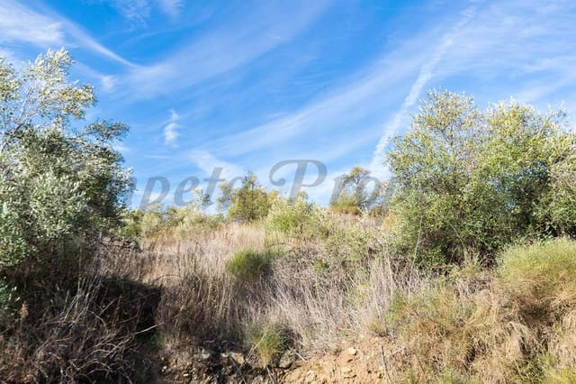 Terreno Não Urbanizado para venda em Torrox Pueblo, Torrox - 48 000 € (Ref: 10075867)