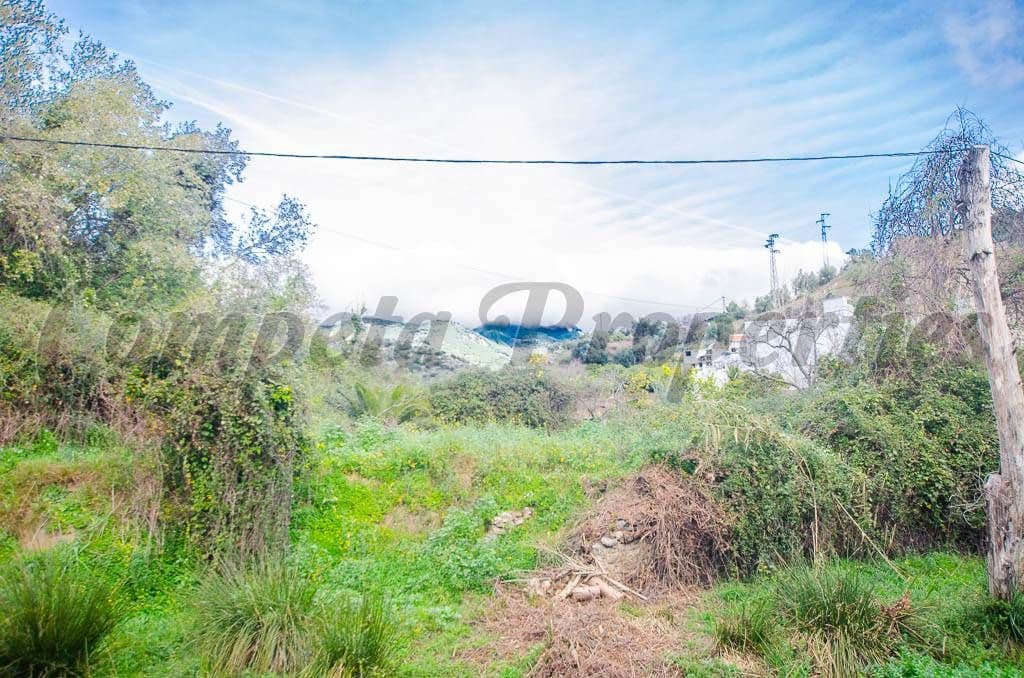 Terre non Aménagée à vendre à Archez - 39 000 € (Ref: 10075872)
