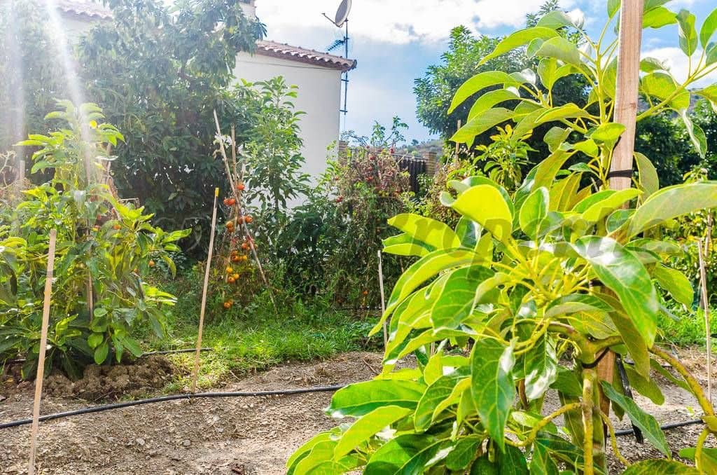 Grunde uden byggetilladelser til salg i Canillas de Aceituno - € 45.000 (Ref: 10075873)