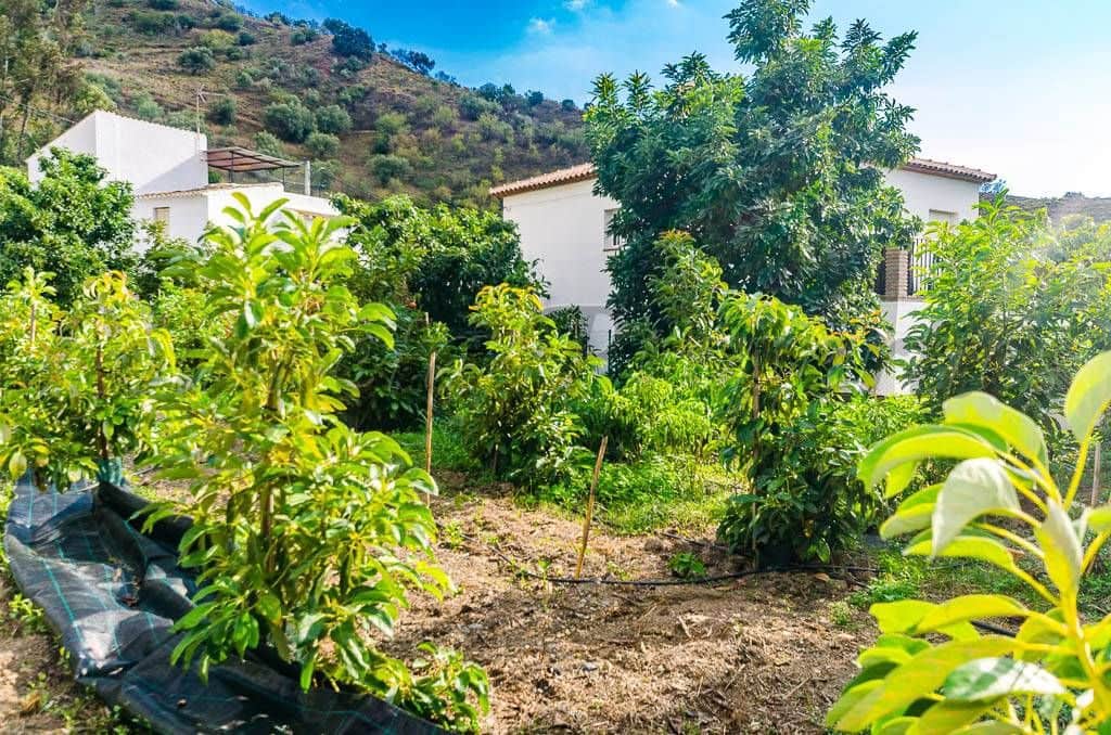 Grunde uden byggetilladelser til salg i Canillas de Aceituno - € 45.000 (Ref: 10075873)