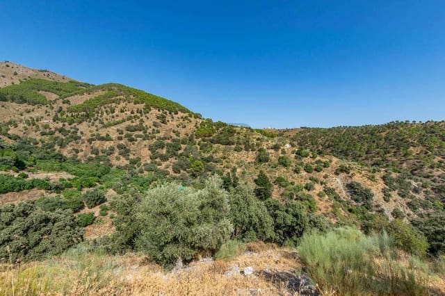 Terre non Aménagée à vendre à Salares - 15 000 € (Ref: 10075882)